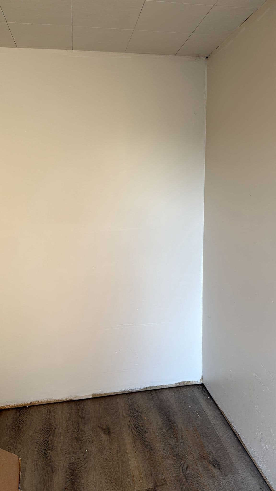 Empty room corner with white walls, dark wood laminate flooring, and square ceiling tiles.